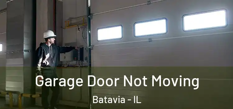 Garage Door Not Moving Batavia - IL