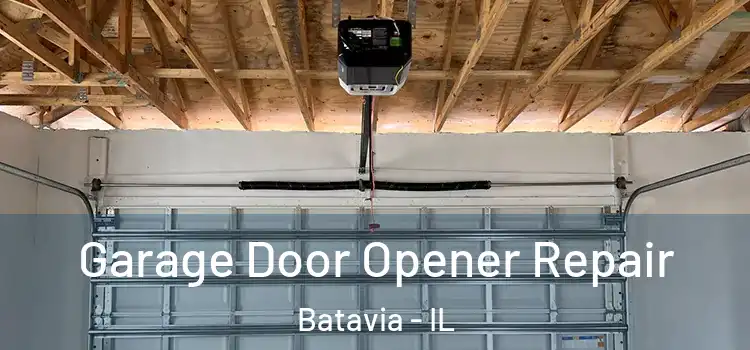  Garage Door Opener Repair Batavia - IL