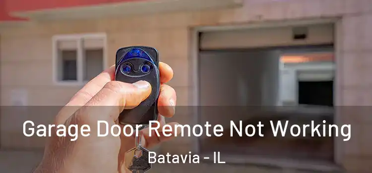  Garage Door Remote Not Working Batavia - IL
