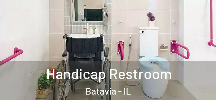  Handicap Restroom Batavia - IL