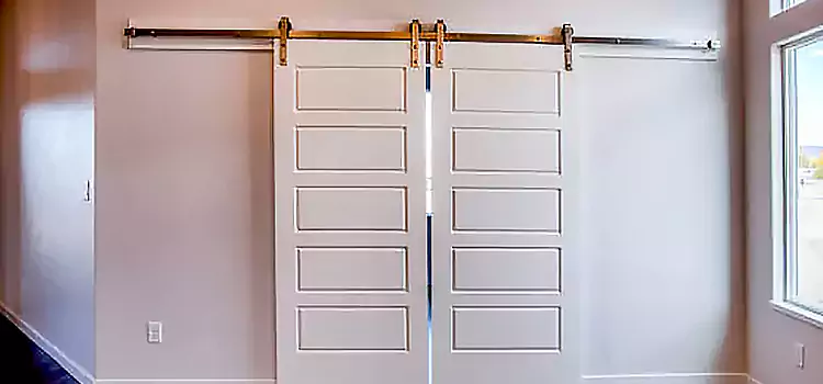 Glass Barn Door with Installation Hardware Kit Batavia