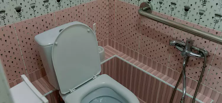 Meeting Diverse Needs With Accessible Restroom Solutions in Batavia, IL