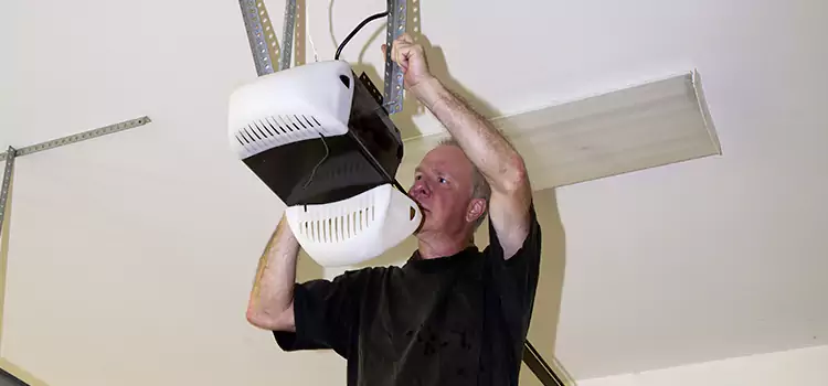 Garage Door Opener Service Batavia