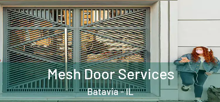 Mesh Door Services Batavia - IL