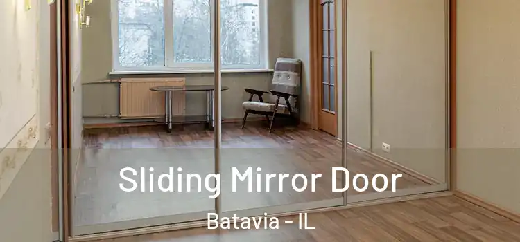  Sliding Mirror Door Batavia - IL